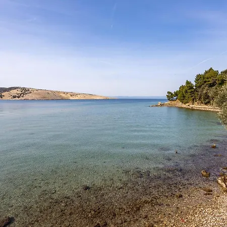 1 Bedroom In Appartement